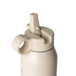 Citron Garrafa Térmica 350ml - Carros