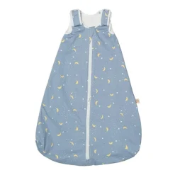 Ergobaby Saco de dormir On the Move 6-18m Tog 2,5 - Stellar