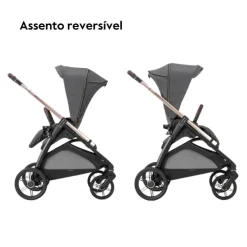 Inglesina System Quattro Aptica Darwin Recline Evo - Crystal Grey