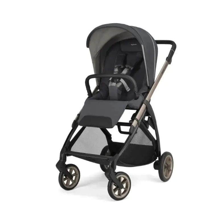 Inglesina System Quattro Electa Darwin Recline Evo - Garage Grey