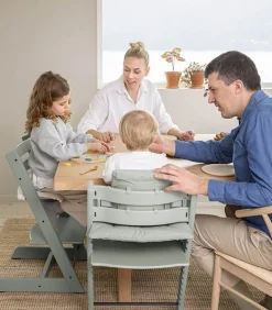 Stokke Tripp Trapp Cadeira Evolutiva (Faia) - Glacier Green