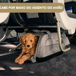 Tavo Dupree II Transportadora para Animais de Estimação com Isofix para Automóvel e Avião - Onyx