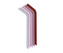 We Might Be Tiny - Conjunto de Palhinhas em Silicone - Earth & Bloom